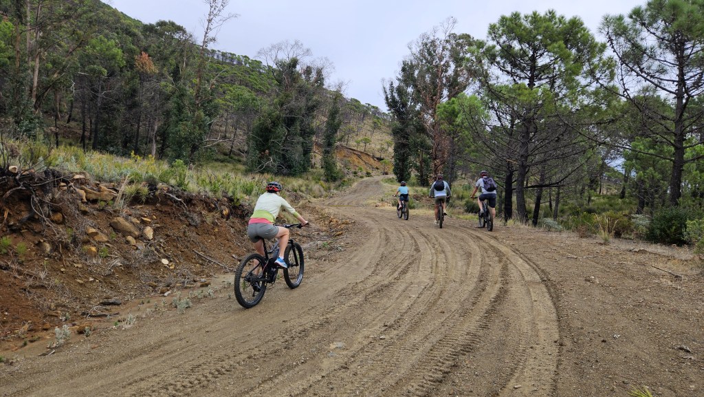 Team Building | E-MTB Experience