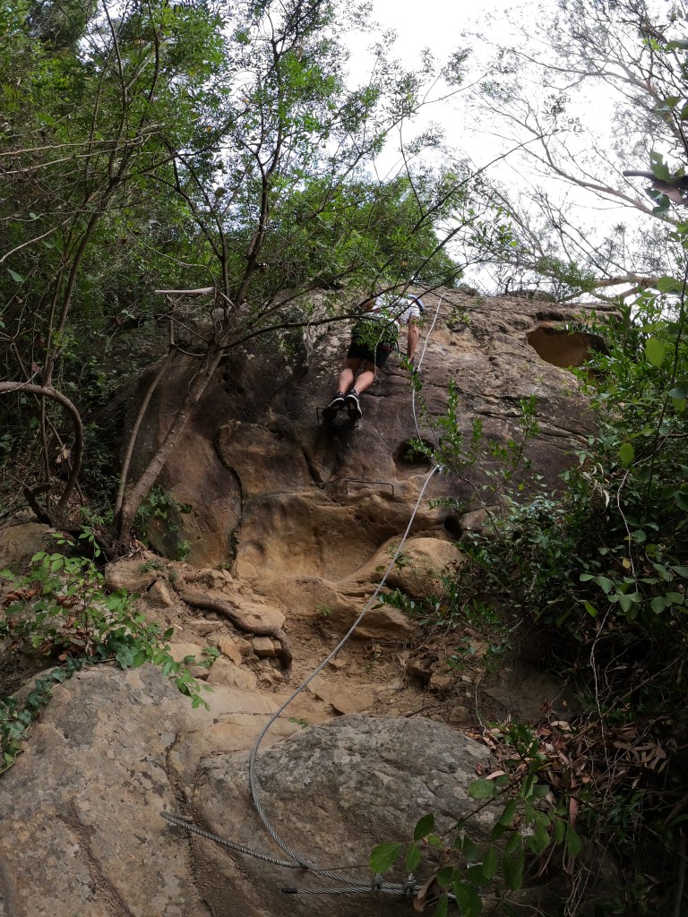 Via Ferrata El Caimán: Adventure and Scenic Beauty in Alcornocales Natural Park