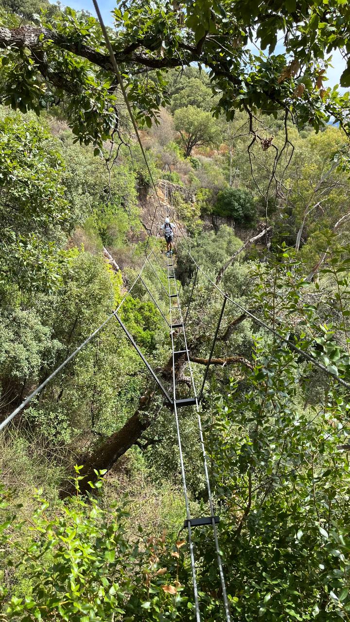 Via Ferrata El Caimán: Adventure and Scenic Beauty in Alcornocales Natural Park