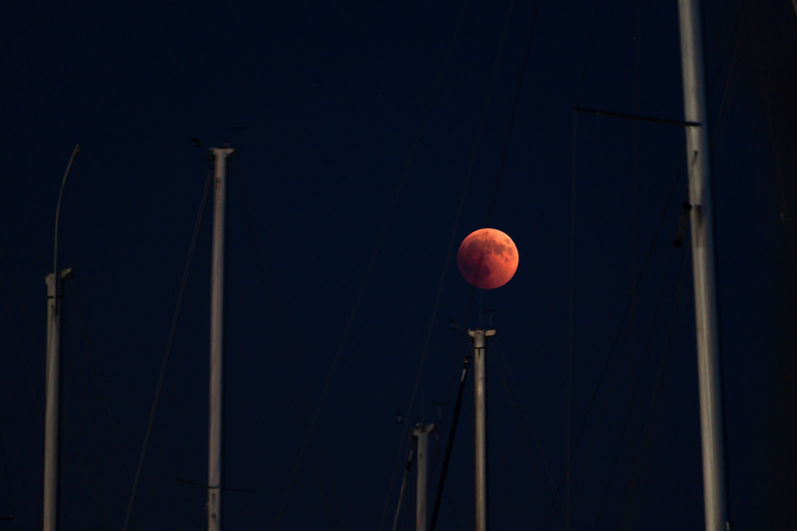 Full moon on the masts of sailboats moored in port, closed night.