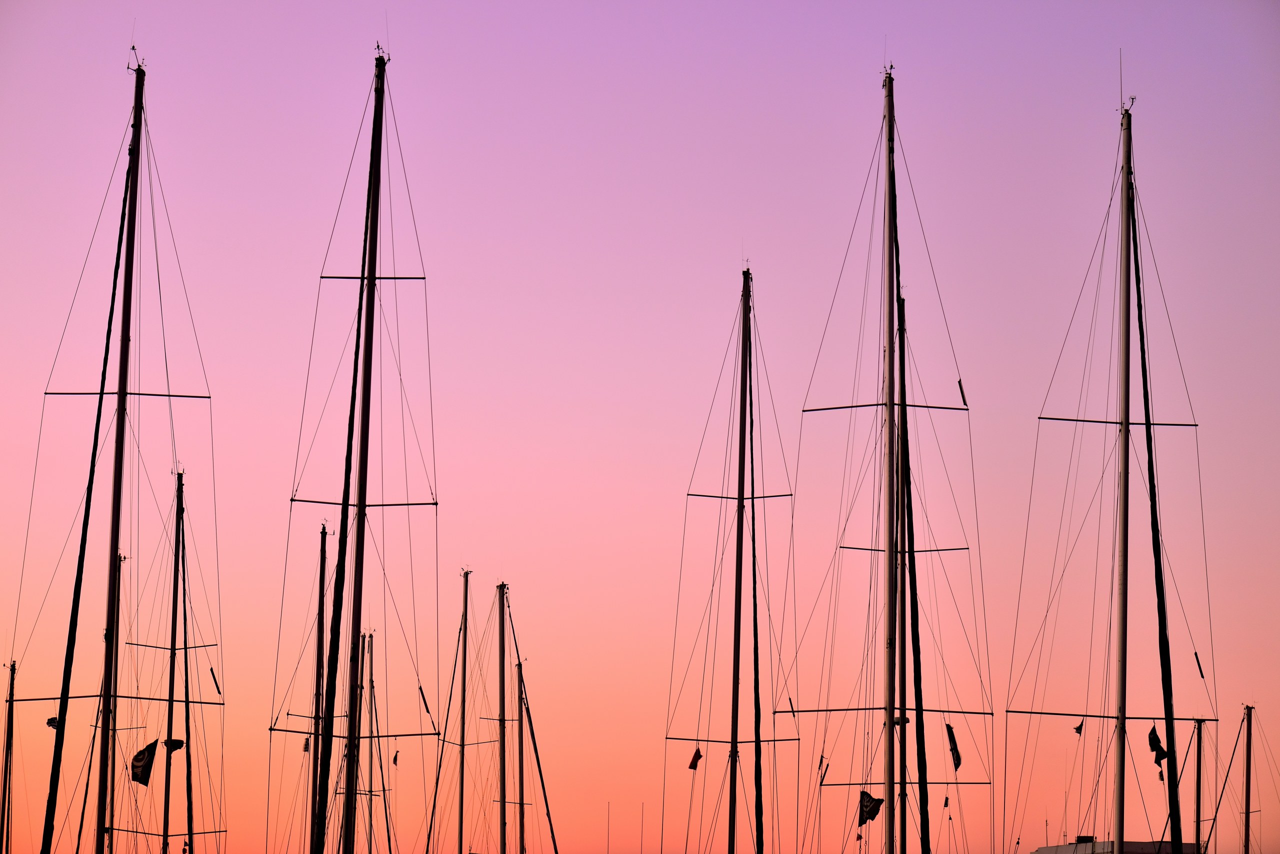 Many sailboat masts moored in port with their rig against a pink, orange and gold sky background.