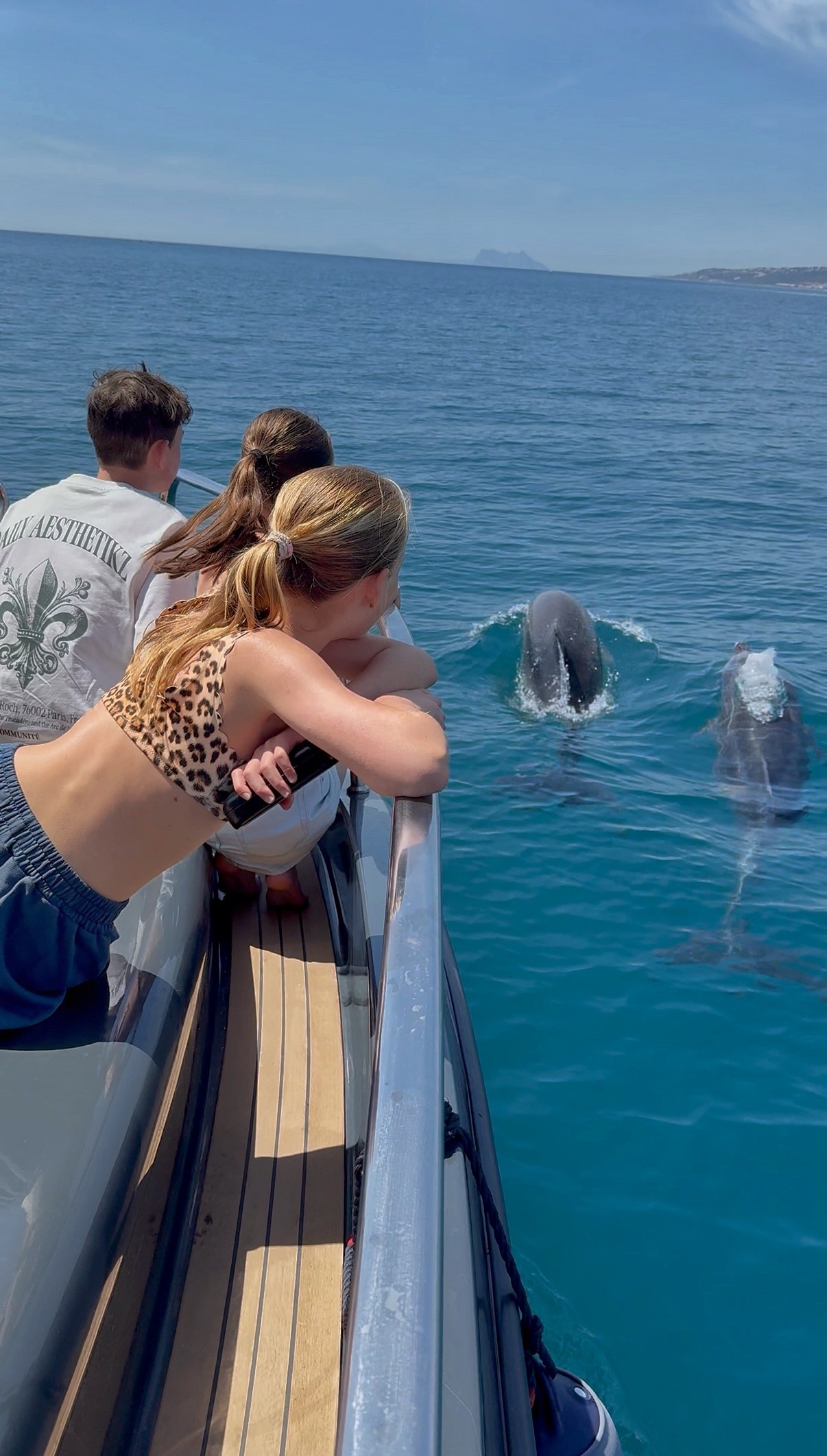 2H Private Dolphin Trip With Drinks Included in Estepona