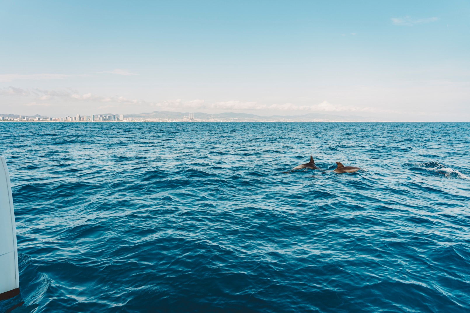 4 HOURS (BALI 4.1) - private luxury catamaran Barcelona