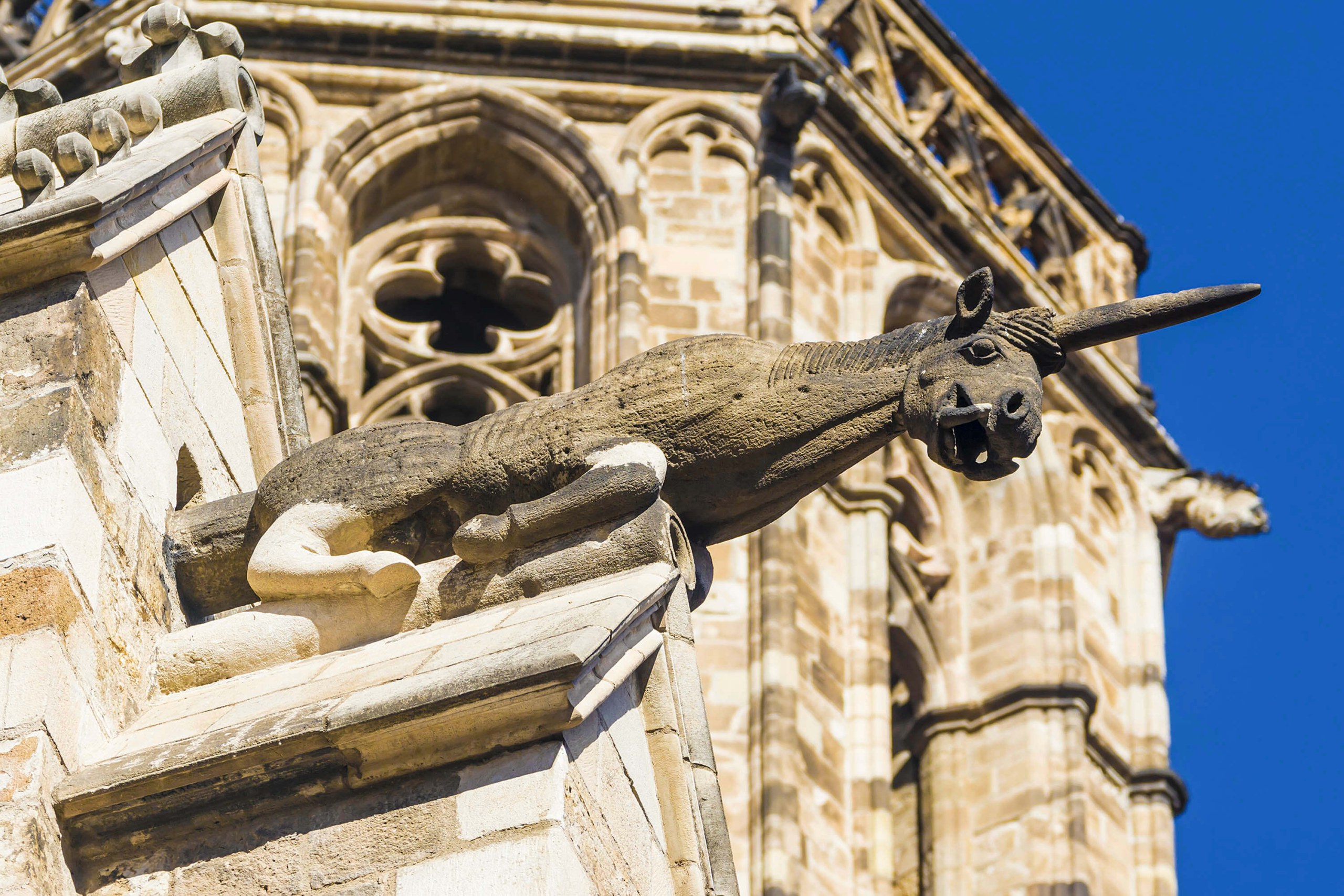 Barcelona: tour of the Gothic Quarter with audio guide app
