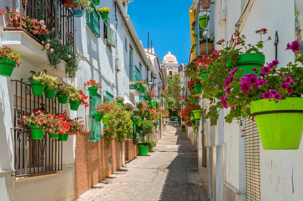 Estepona: Private sailboat rental for up to 10 people with paddle surf
