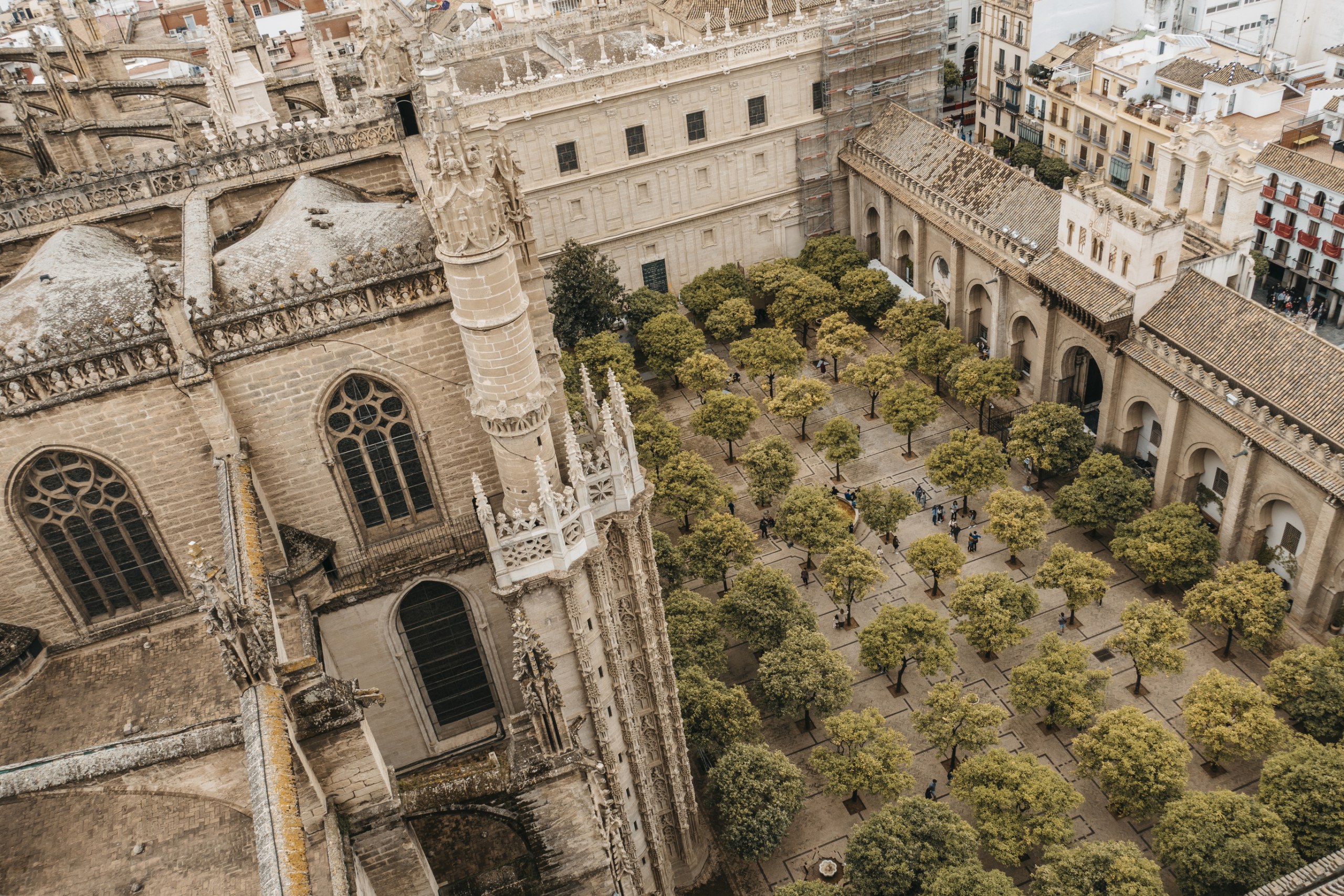 Giralda and Cathedral of Seville private tour