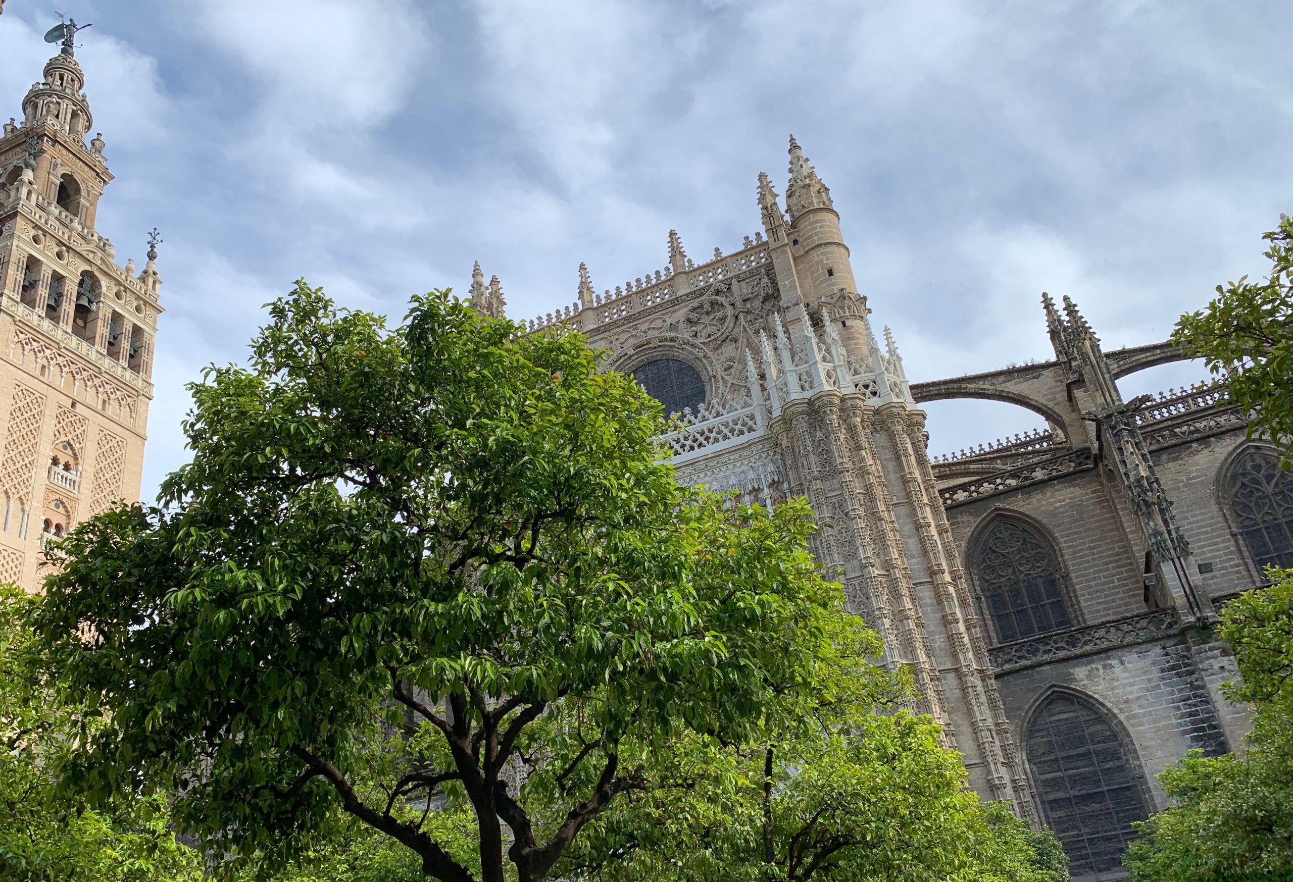 Giralda and Cathedral of Seville private tour