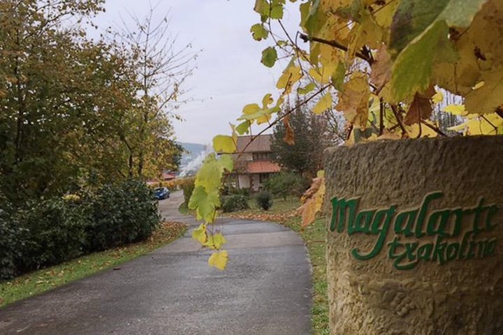 Guided tour of Txacoli wine tasting and tasting of wine and typical products
