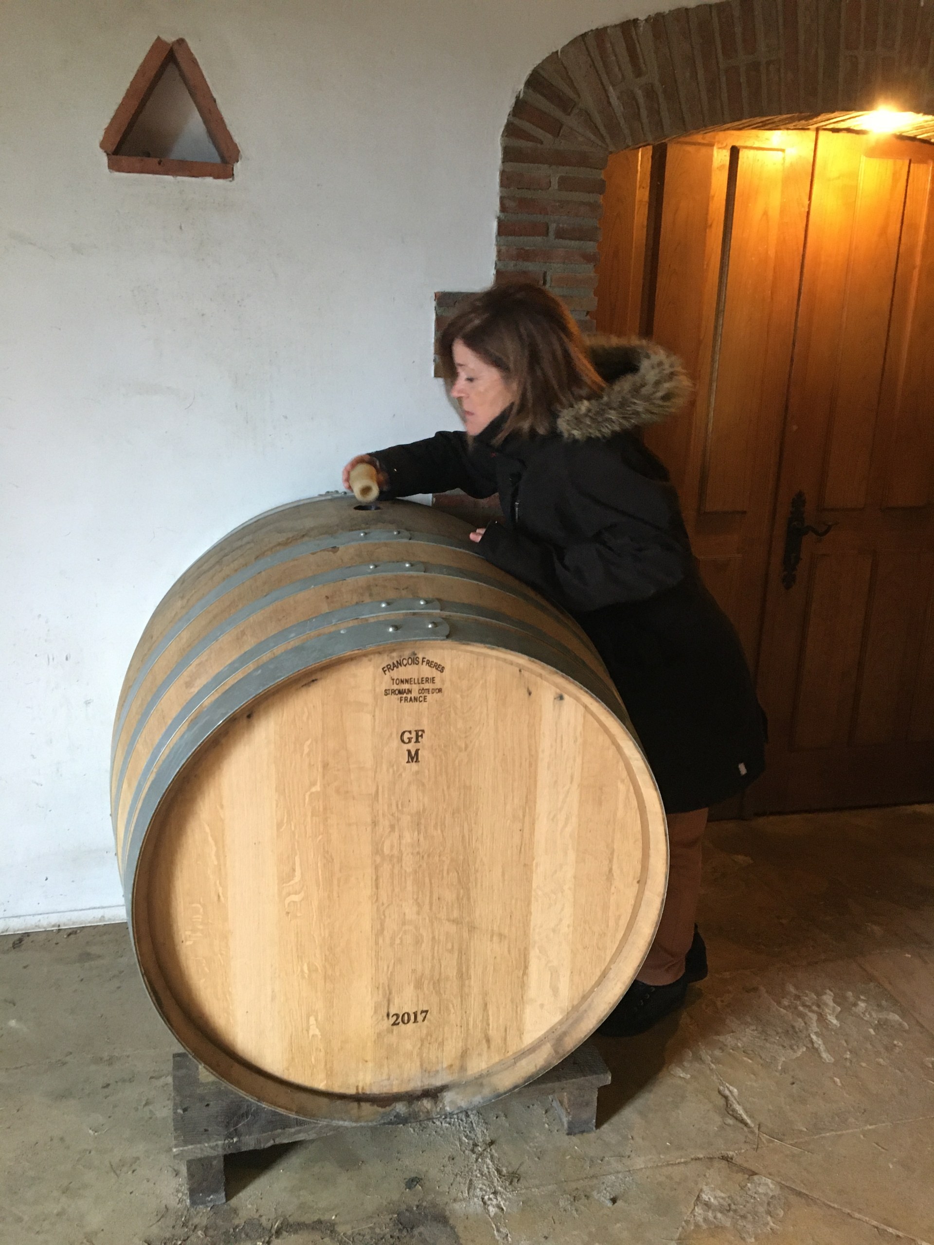 Guided tour of Txacoli wine tasting and tasting of wine and typical products