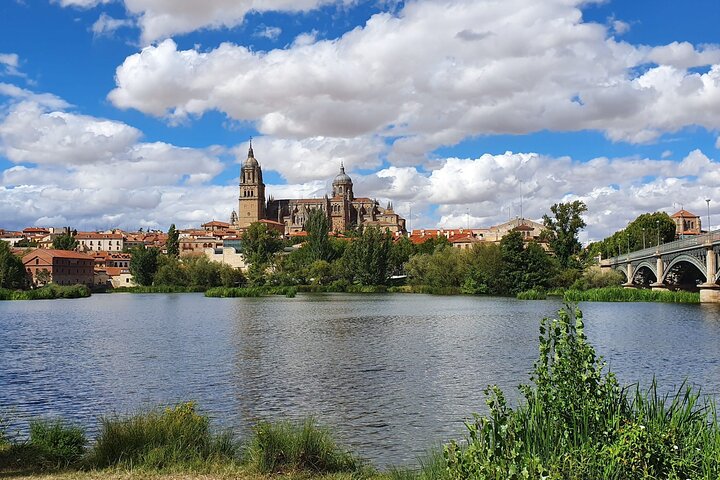 Madrid to Porto up to 3 stops: Avila, Salamanca and Aveiro