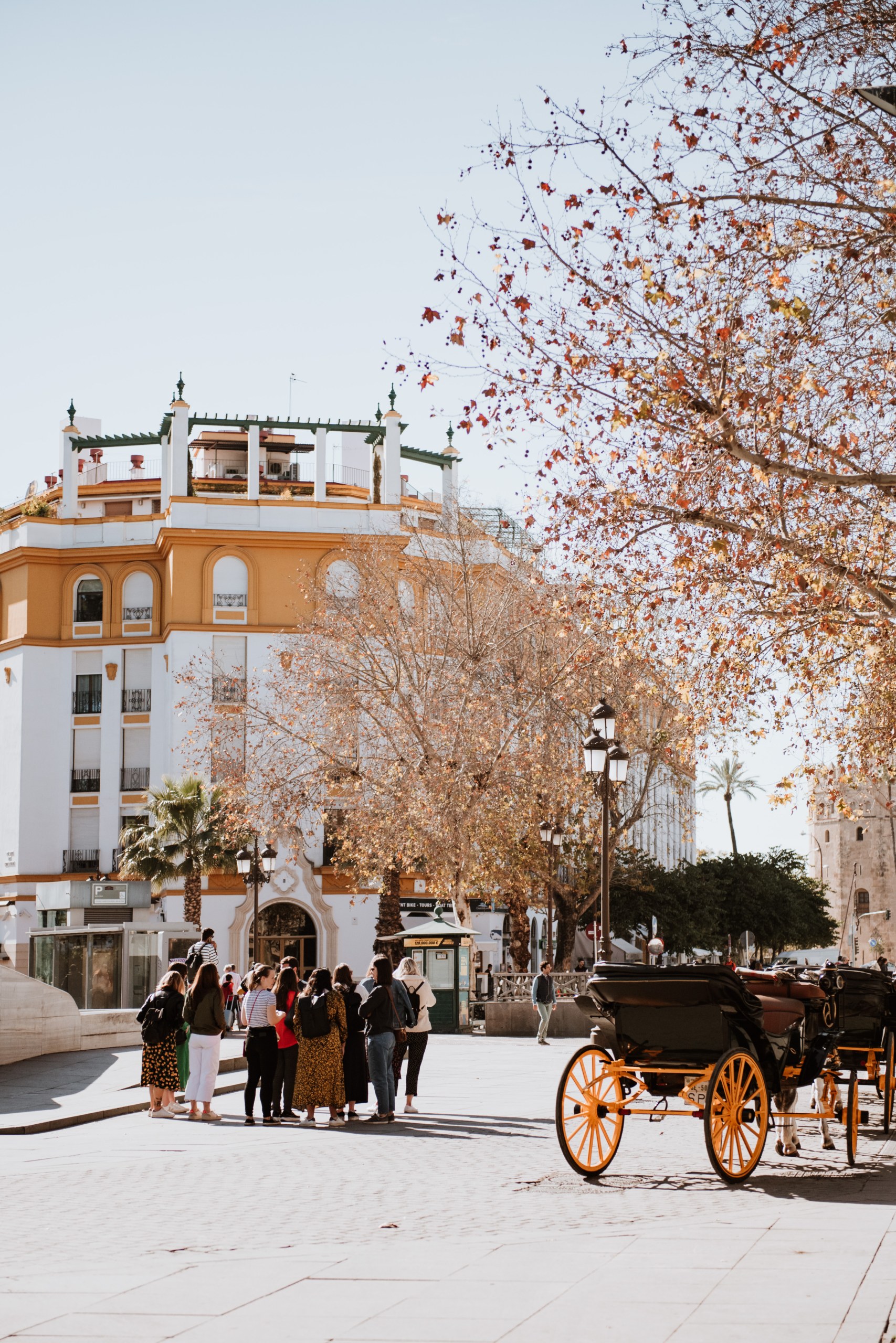 Private Horse-Drawn Carriage Ride in Seville