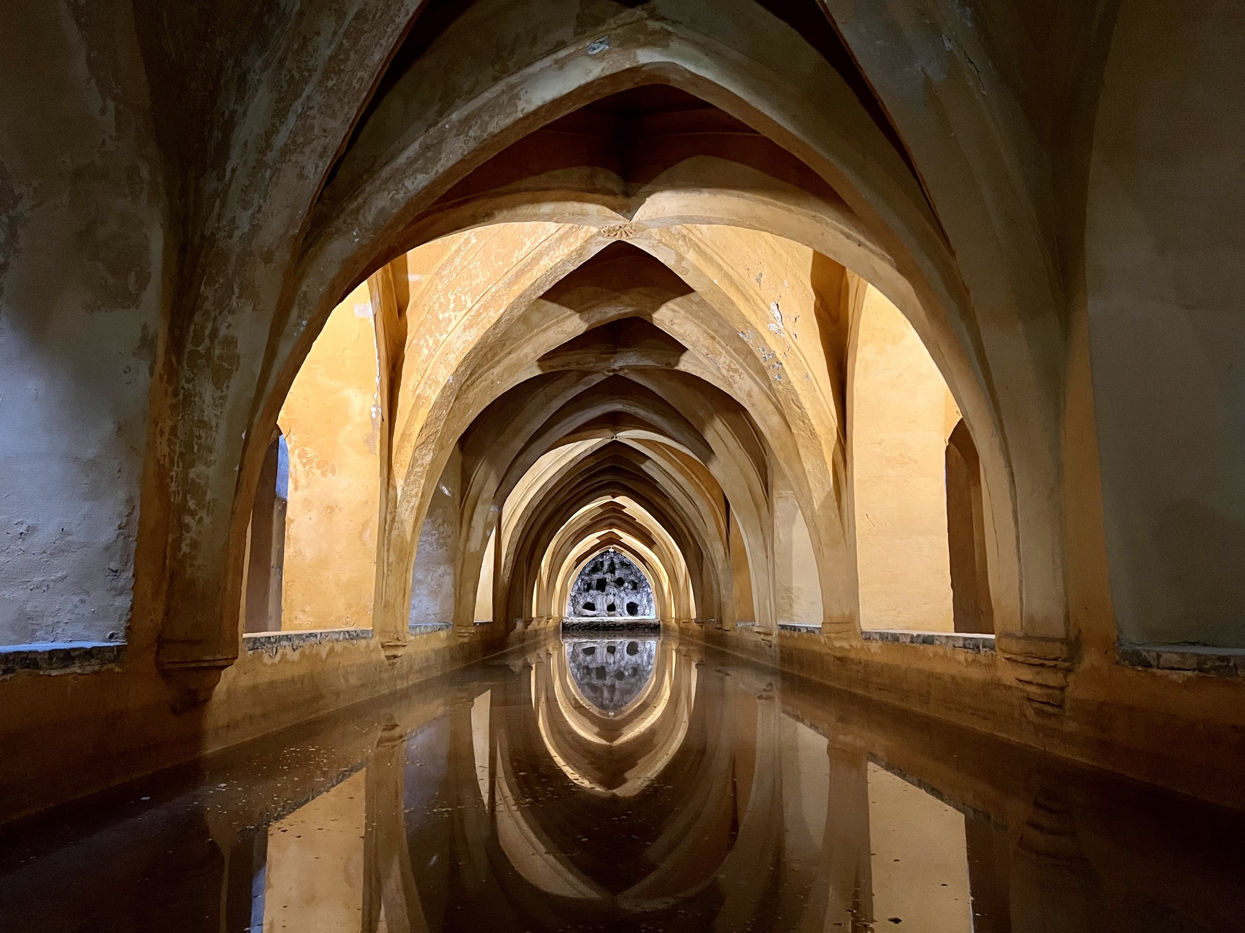 Royal Alcázar of Seville guided tour: Palaces and Gardens
