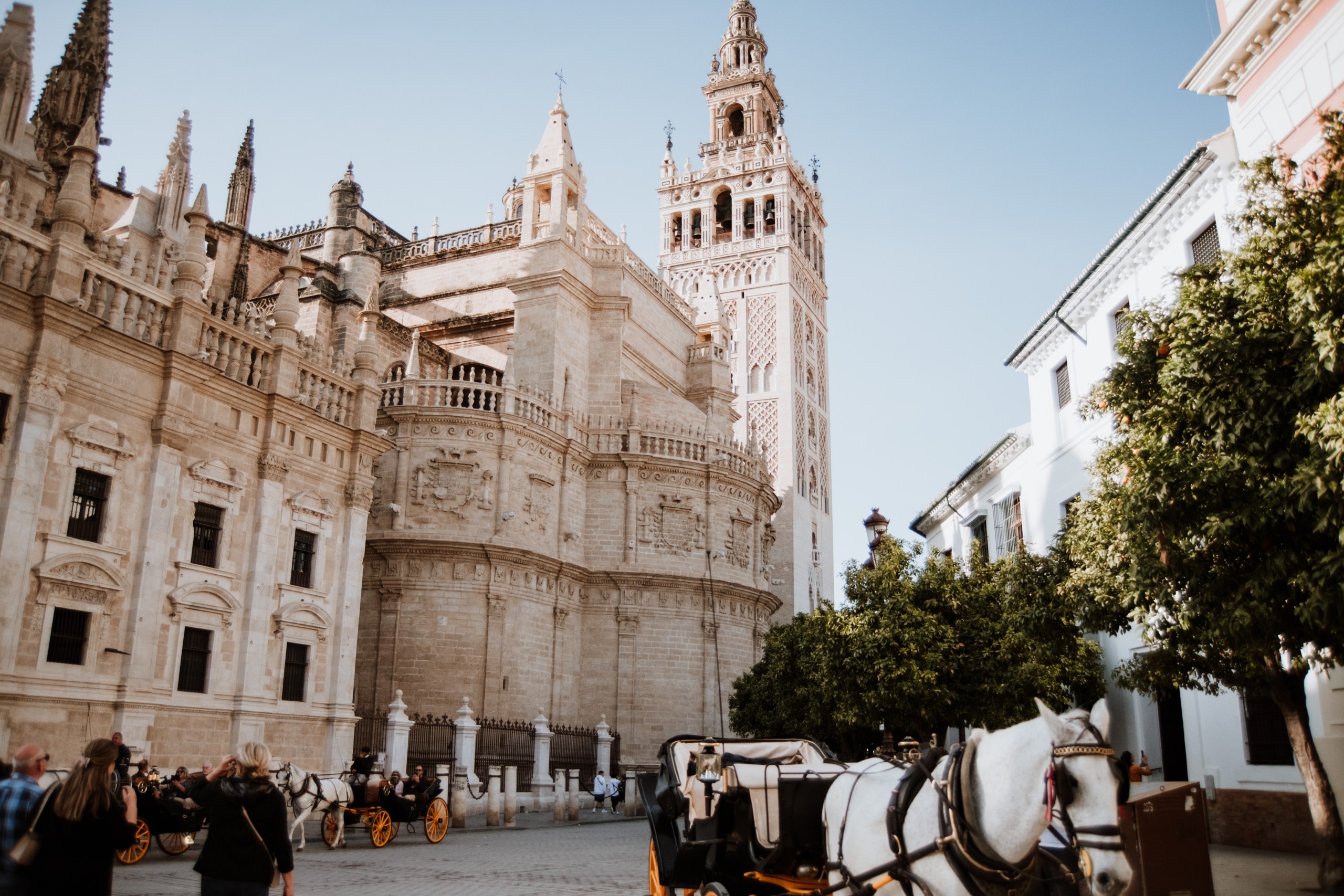 Seville: Private gastronomic tour