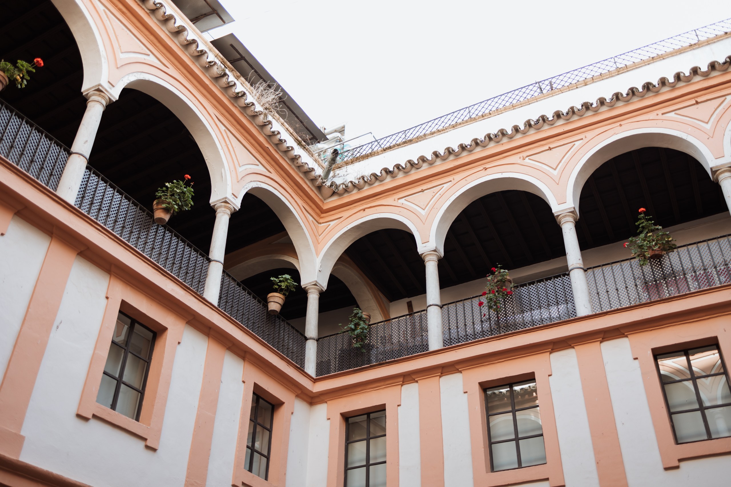 Seville ´s Fine Arts Museum tour