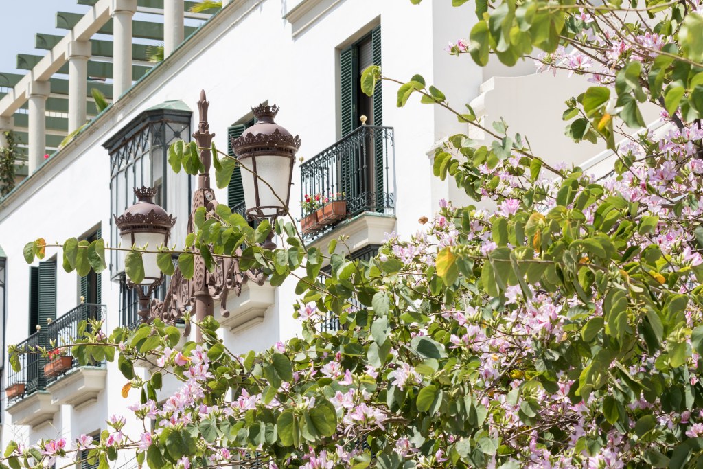 Seville: Santa Cruz neighbourhood with flamenco show (optional)