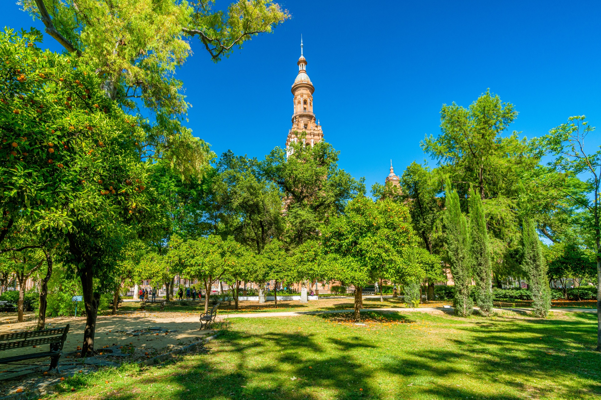 SPSE006-FRENCH-Seville City Highlights & Secrets 2-hour Guided Walking Tour