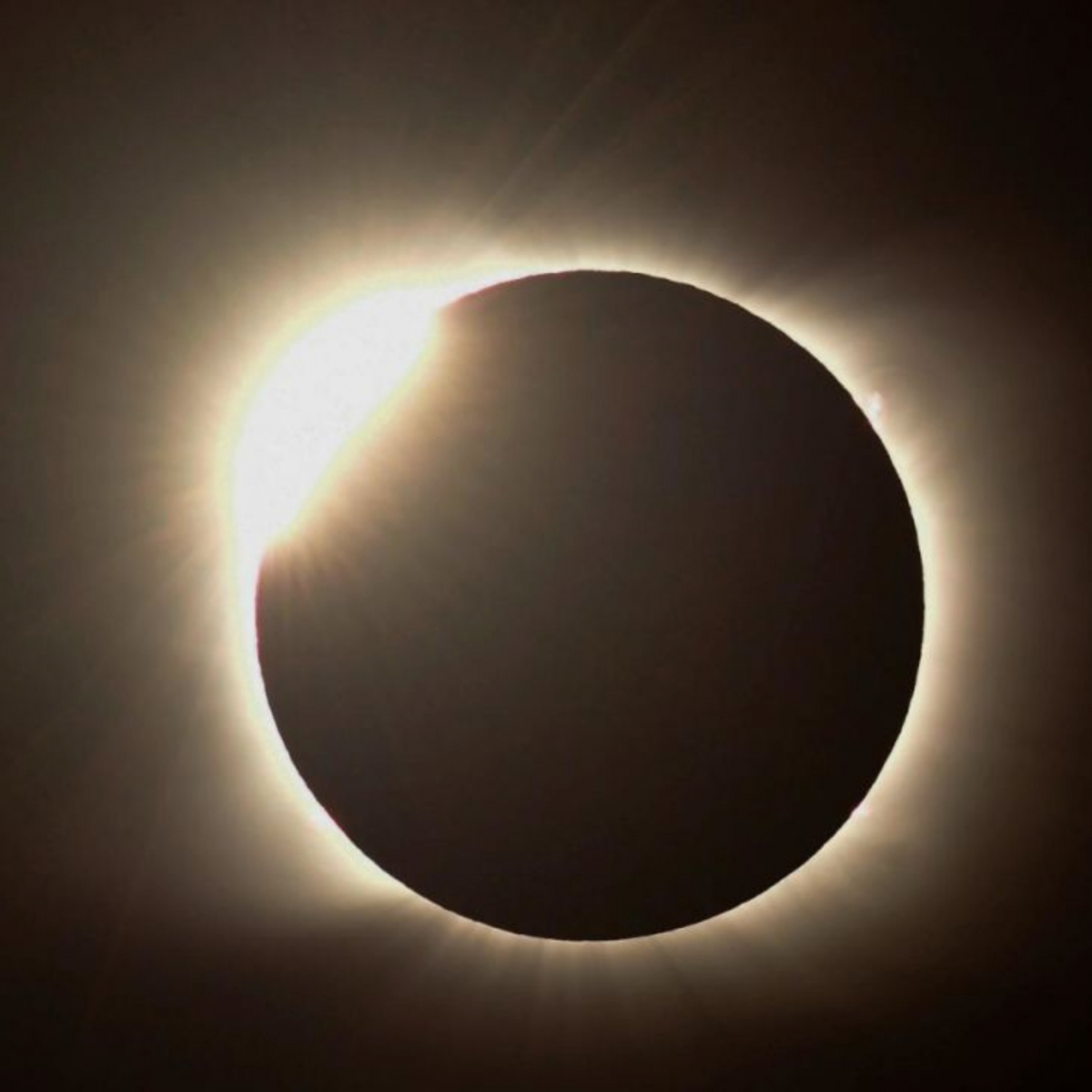 Total Solar Eclipse 2027: Boat Trip and Breakfast from Sotogrande