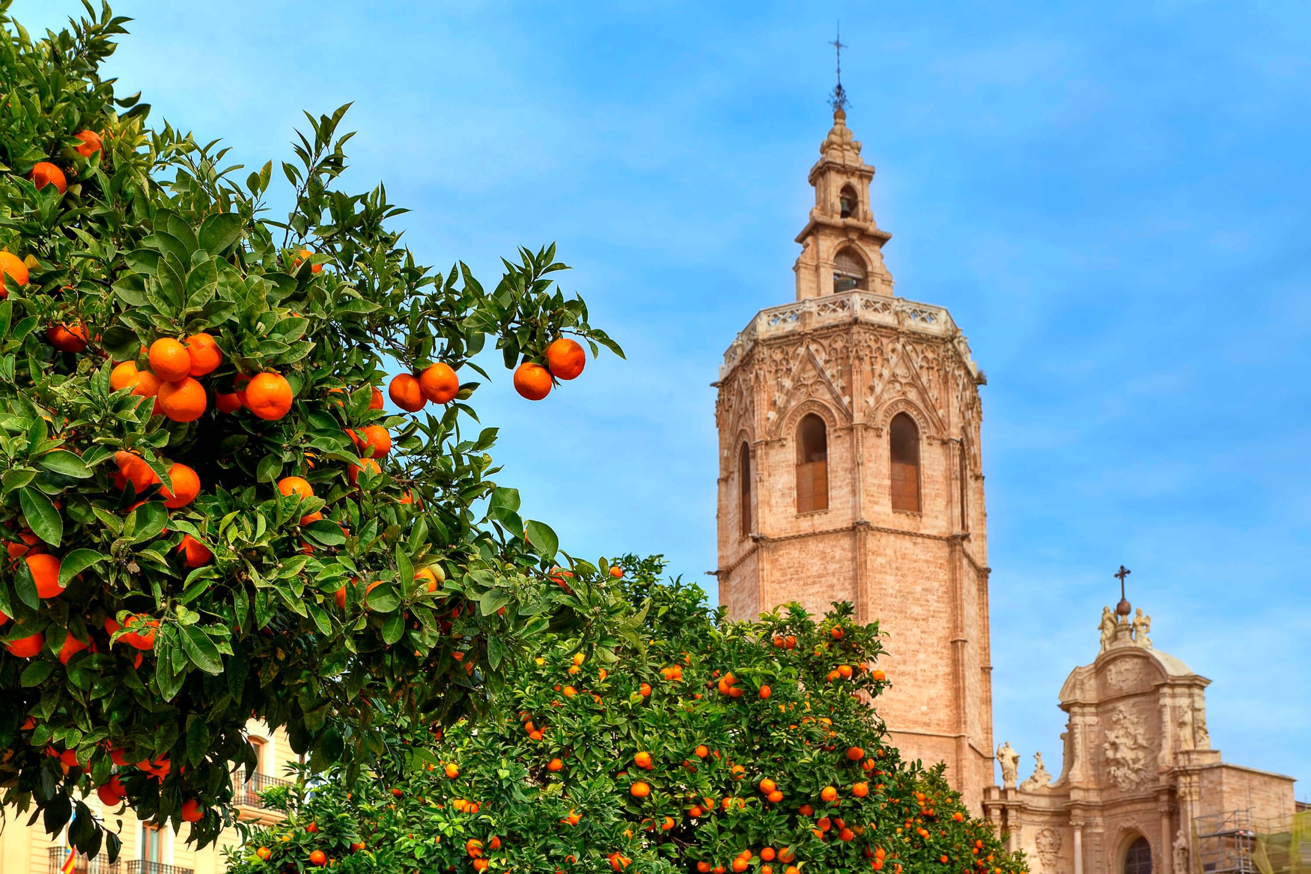 Valencia City Walking Tour with Audio Guide App