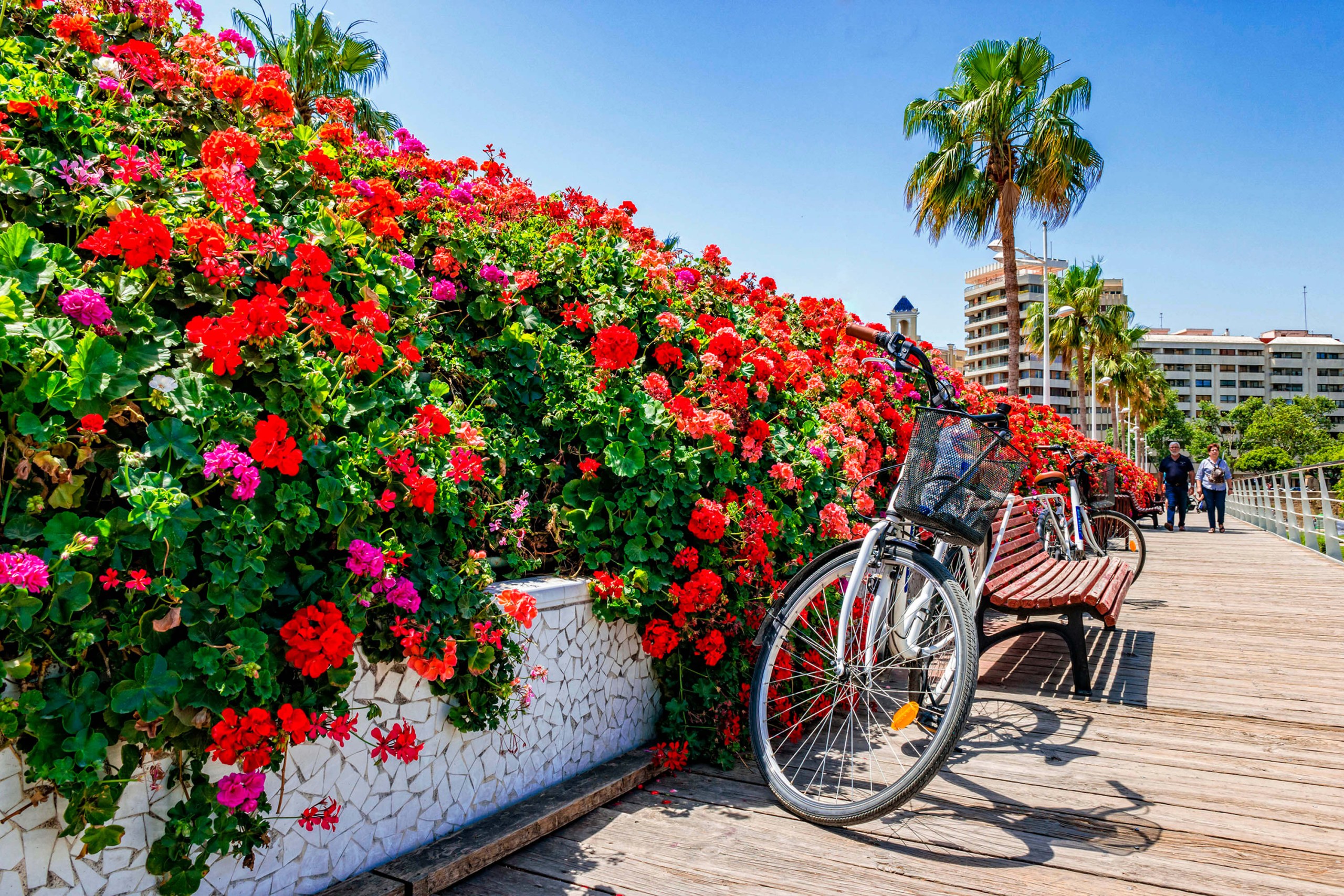Valencia City Walking Tour with Audio Guide App